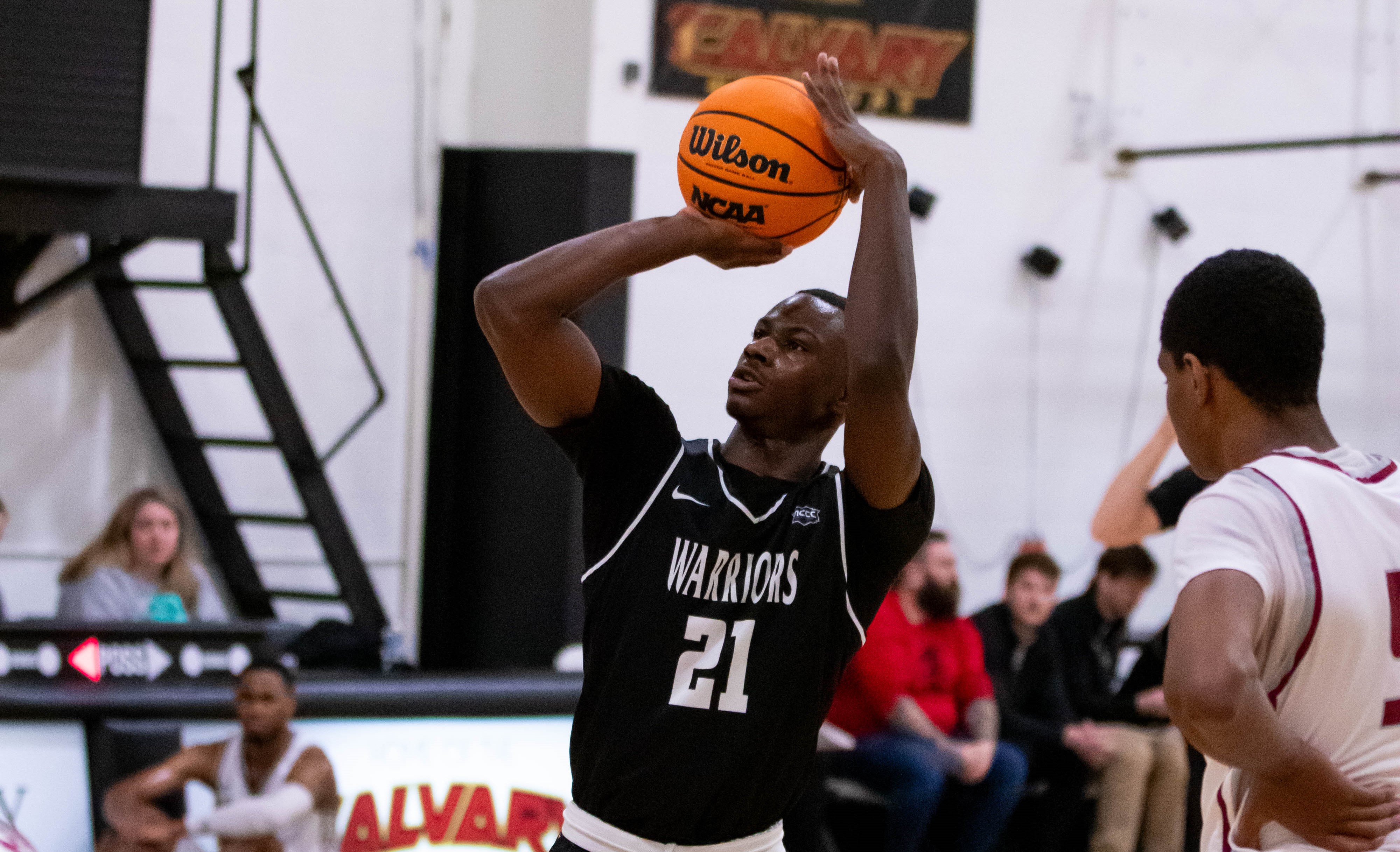Men's Basketball Wins Consolation Championship at MCCC Conference Tournament
